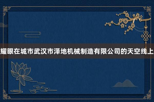 耀眼在城市武汉市泽地机械制造有限公司的天空线上